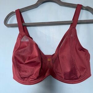 Supportive Full-Coverage Bra in Wine